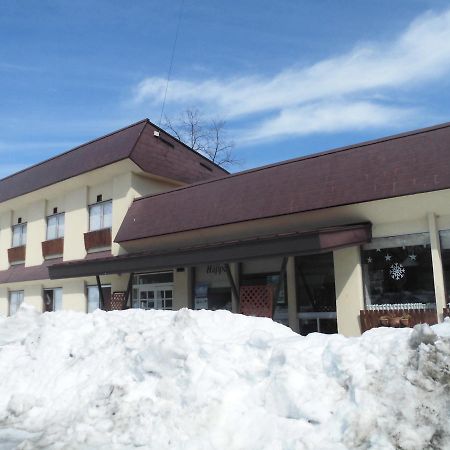 Lodge Villa Happo Hakuba Bagian luar foto